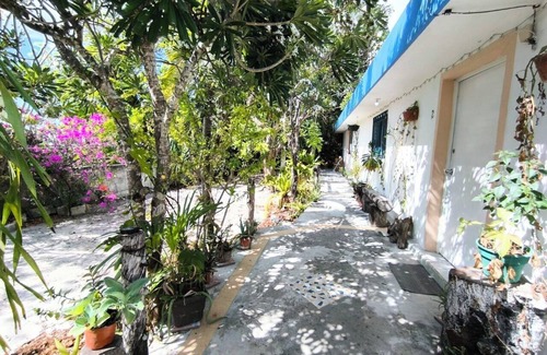 Colonia Adolfo Lopez Mateos Apartment | Comfy studio on downtown, 3 blocks to ocean views, calm, safe & quiet