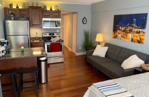 Fort Sanders Apartment | Condo Close to Stadium and Free Parking