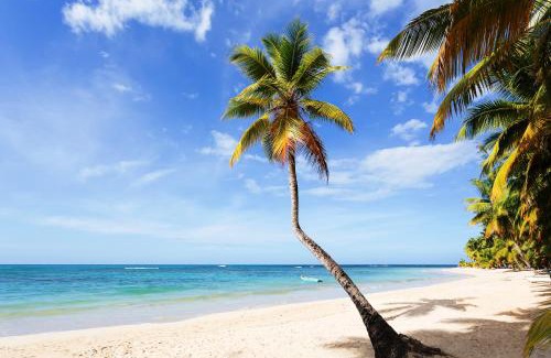 Las Terrenas Apartment | Condo Hotel Playa Las Ballenas