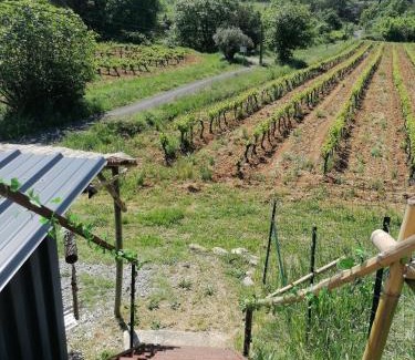 Massillargues-Attuech Apartment | Conteneur avec spa privé face aux vignes