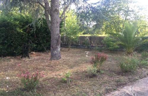 Sainte-Eulalie-en-Born House | Cool Landes