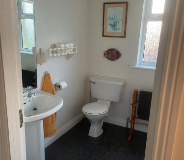 Ballickmoyler House | Cooper Hill R93R209