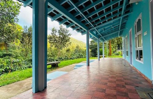 Somvarpet House | Coorg Island Cafe & Cottages by StayApart