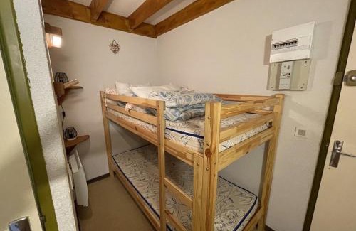 Laveissiere Apartment | Coquet studio mezzanine exposé sud avec animaux admis - FR-1-787-122