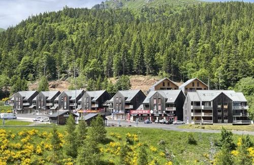 Laveissiere Apartment | Coquet studio mezzanine exposé sud avec animaux admis - FR-1-787-122