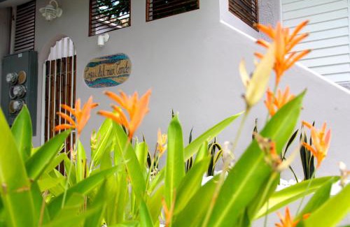 Ocean Park Apartment | Coqui del Mar Clothing Optional Adults Only LGBTQ