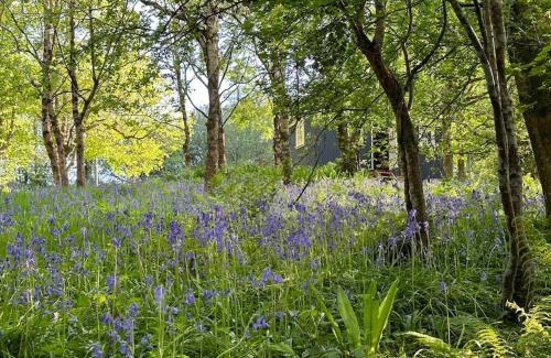 Lanivet Apartment | Cornwall Woodland Shepherd's Hut Deirdres Hut