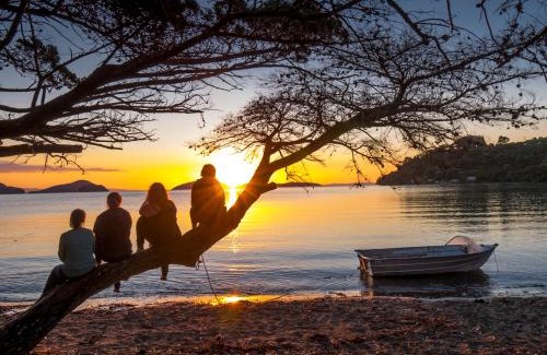 Coromandel Resort | Coromandel Shelly Beach TOP 10 Holiday Park