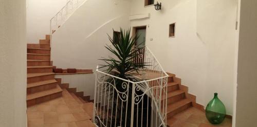Gallipoli Historic Center Apartment | Corte De Noie Appartamenti Gallipoli