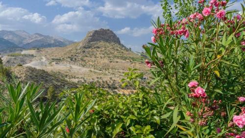 Castril House | Cortijo la Era Castril by Ruralidays