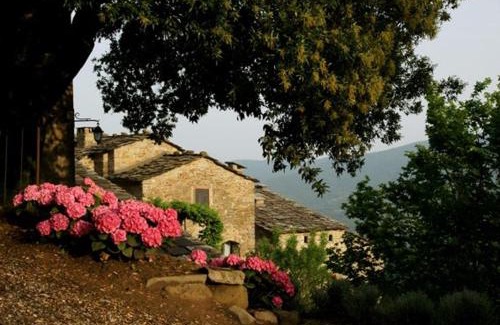Cortona Apartment | Cortona Village Heights Two Bedroom