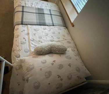 Llanuwchllyn House | Cosy 2 bedroom cottage