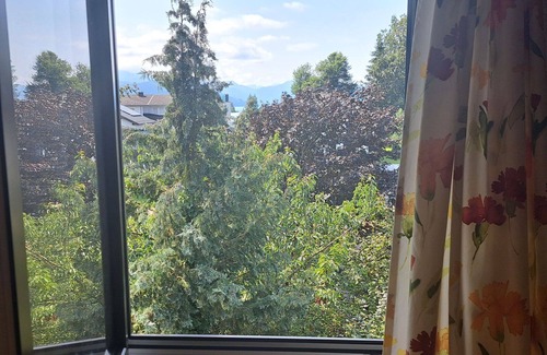 Seewalchen am Attersee Apartment | Cosy apartment for 4 people with WIFI, TV, patio and panoramic view