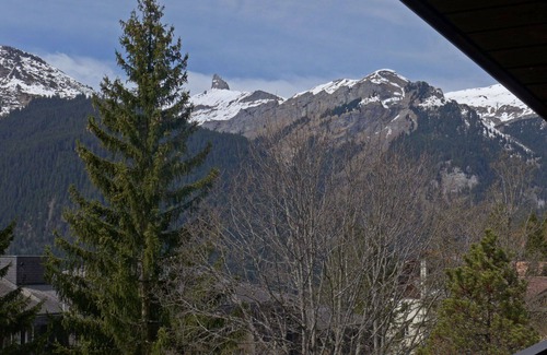 Wengen Apartment | Cosy apartment for 5 guests with WIFI, TV and balcony