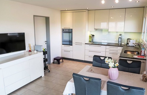 Reichenburg Apartment | Cosy apartment for 2 guests with WIFI, TV, terrace and panoramic view
