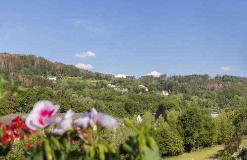 Hallenberg Apartment | Cosy apartment in Hallenberg near centre