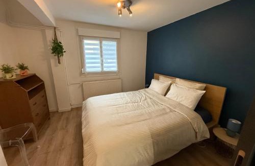 Neudorf Ouest Apartment | Cosy appart dans maison à Neudorf proche centre ville avec terrasse