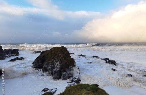 Portballintrae House | Cosy Coastal Cottage in Portballintrae