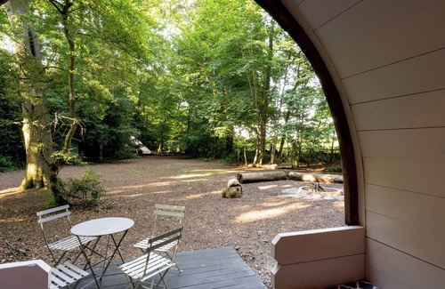 Plastow Green RV Rental | Cosy Daisy Glamping pod in secluded woodland setting