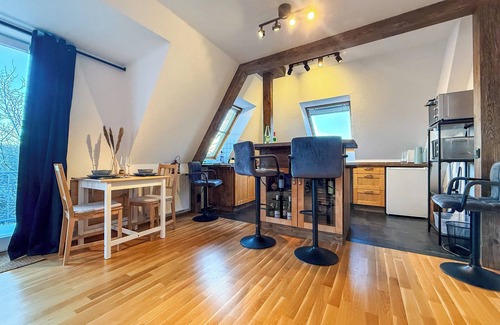 Blasewitz Apartment | ‘Cosy holiday apartment in Dresden - Elbschlösser’
