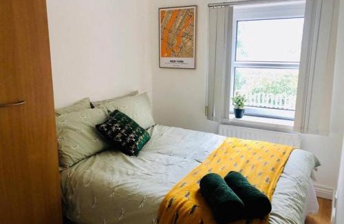 Belfast House | Cosy House, Lisburn Road