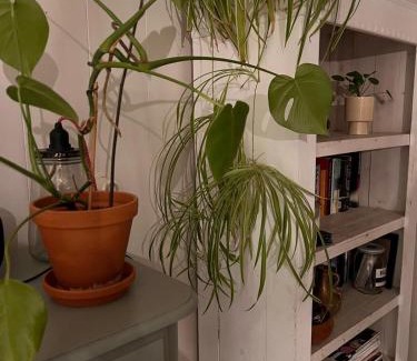Otterlo House | Cosy House