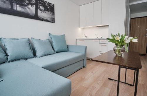 Klaipeda Apartment | Cosy studio near Akropolis and Švyturio arena