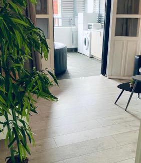 Pointe-a-Pitre Apartment | Cosy suite en centre ville