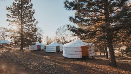 Dunlap House | Cosy yurt at a nature retreat in Sequoia N Forest