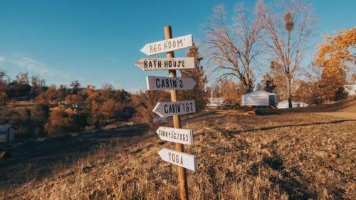 Dunlap House | Cosy yurt at a nature retreat