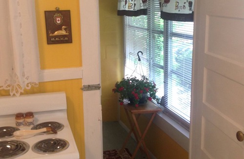 New Port Richey Cottage | Cotee River Front Apartment