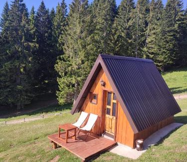Zabljak Ski Chalet | Cottage 1600 Bosaca
