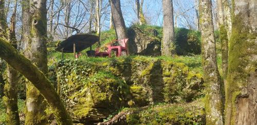 Gorre House | Cottage