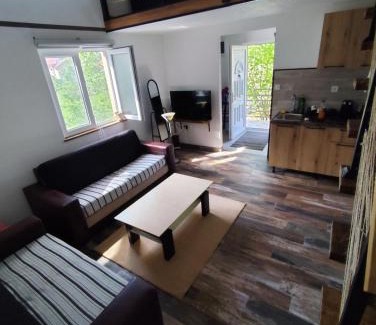 Donje Polje Apartment | Cottage in nature of Cetinje