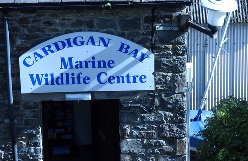 Talgarreg Cottage | Cottage Nr New Quay Ceredigion