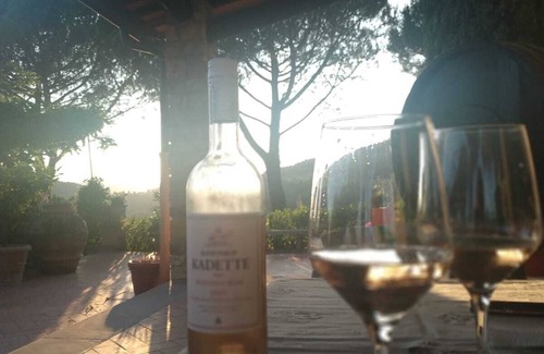 Pontassieve Villa | Country House in the heart of lovely Tuscany
