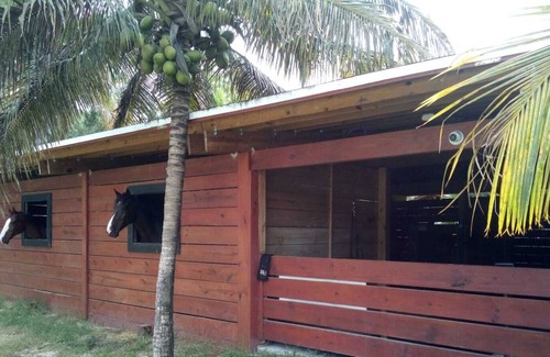 Loxahatchee Groves Apartment | Country Living 5 minutes From Civilization 2