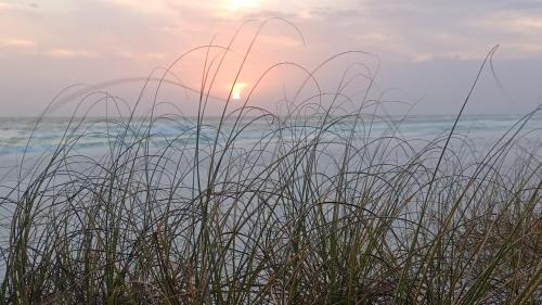 Panama City Beach Apartment | COUPLES GETAWAY, HONEYMOON SWEET, Perfectly Cozy Beach Front Condo with kitchen, pool, free parking,CHECK-IN AT DOOR