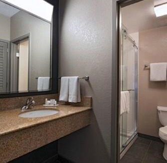 Medical Center District Hotel | Courtyard by Marriott San Antonio Medical Center