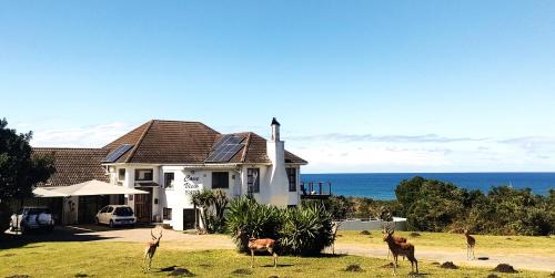 East London Bed & Breakfast | Cove View B&B