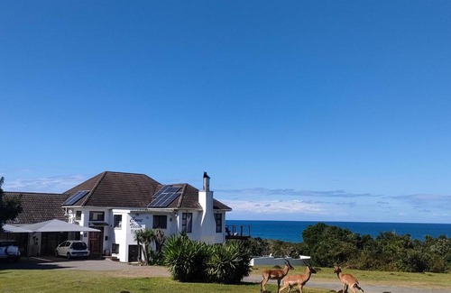 East London Bed & Breakfast | Cove View B&B