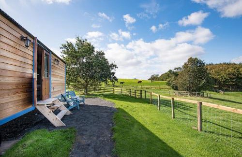 Bowsden House | Cow Parsley Shepherd's Hut