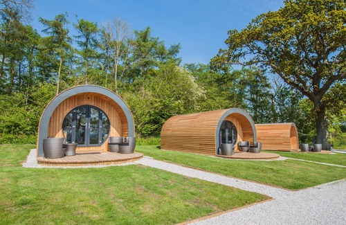 Pickering Cabin | Cowslip Pod - Glamping for 4 Guests