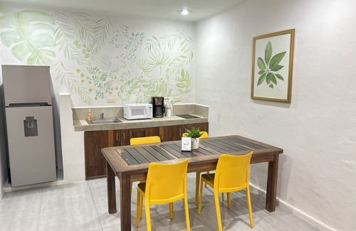 12th Street Apartment | Cozy 1-bedroom apartment in gorgeous Playa del Carmen with WiFi, AC, Plunge Pool
