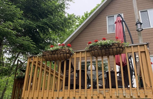 Papineau Regional County Municipality Cottage | Cozy and secluded cottage on a private road. 7 minutes from all amenities.