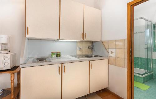 Sarsoni Apartment | Cozy Apartment In Drazice With Wifi