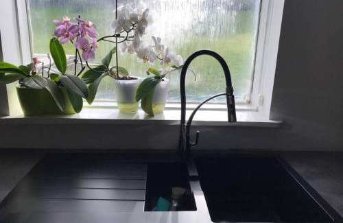 Haaleiti Apartment | COZY APPARTMENT Free parking