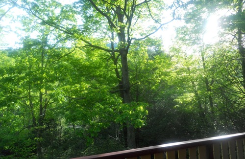 Burnsville Cabin | Cozy But Spacious Log Cabin at Mt. Mitchell Golf Course Community