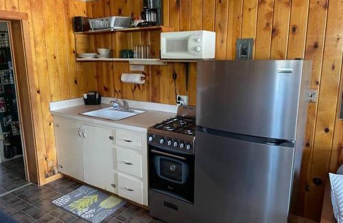South Fork Apartment | Cozy cabin #2 at Aspen Ridge Cabins