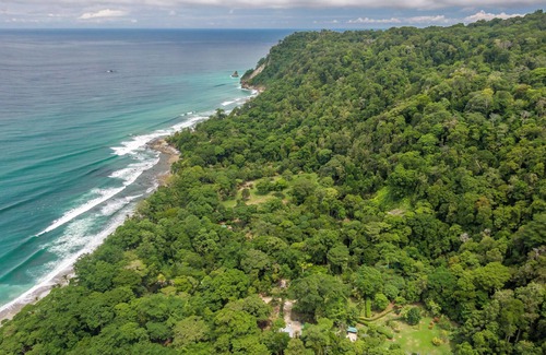 Palma Cabin | Cozy cabin 200 meters from Cabo Matapalo Beach
